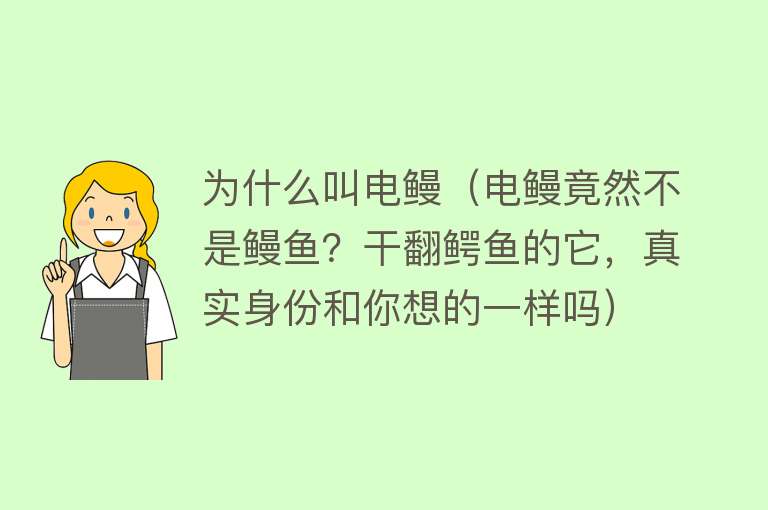 为什么叫电鳗（电鳗竟然不是鳗鱼？干翻鳄鱼的它，真实身份和你想的一样吗）