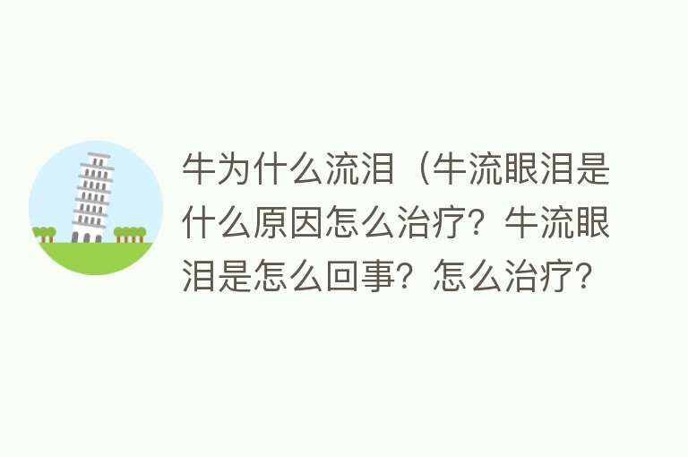 牛为什么流泪（牛流眼泪是什么原因怎么治疗？牛流眼泪是怎么回事？怎么治疗？）