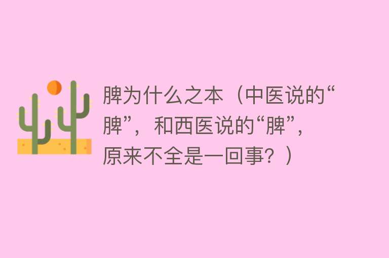 脾为什么之本（中医说的“脾”，和西医说的“脾”，原来不全是一回事？）