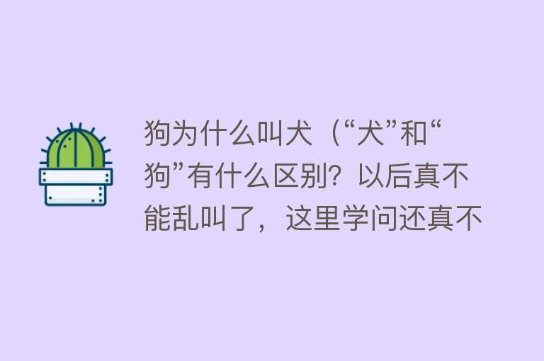 狗为什么叫犬（“犬”和“狗”有什么区别？以后真不能乱叫了，这里学问还真不少）