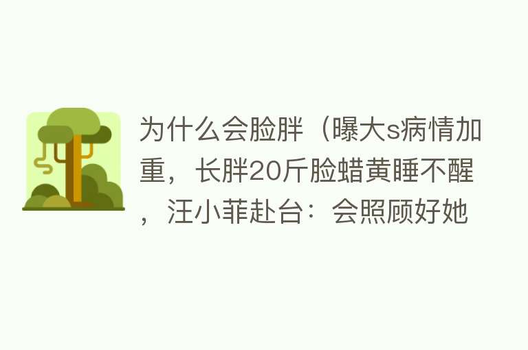 为什么会脸胖（曝大s病情加重，长胖20斤脸蜡黄睡不醒，汪小菲赴台：会照顾好她）