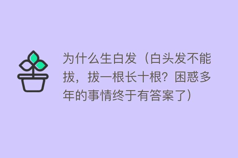 为什么生白发（白头发不能拔，拔一根长十根？困惑多年的事情终于有答案了）