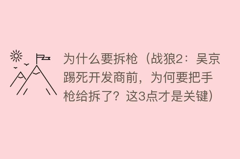 为什么要拆枪（战狼2：吴京踢死开发商前，为何要把手枪给拆了？这3点才是关键）