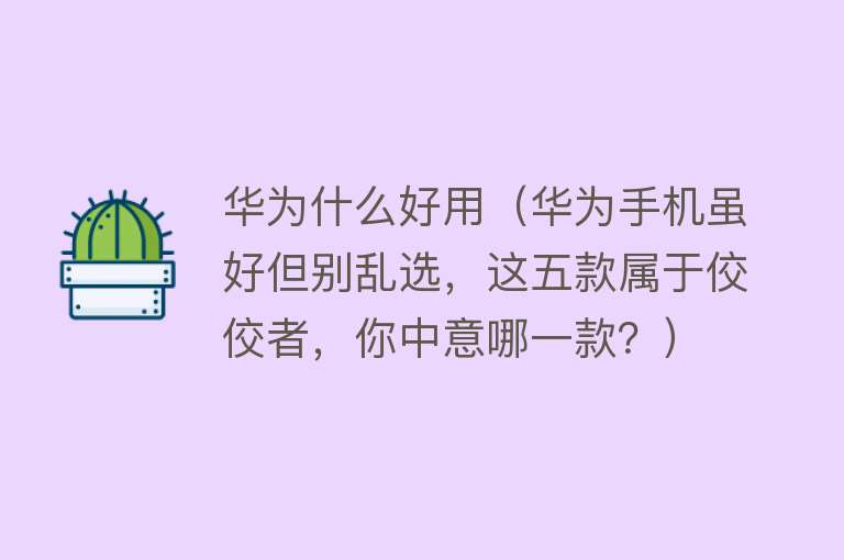 华为什么好用（华为手机虽好但别乱选，这五款属于佼佼者，你中意哪一款？）