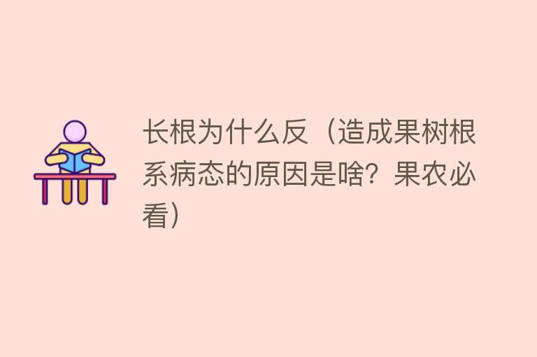 长根为什么反（造成果树根系病态的原因是啥？果农必看）