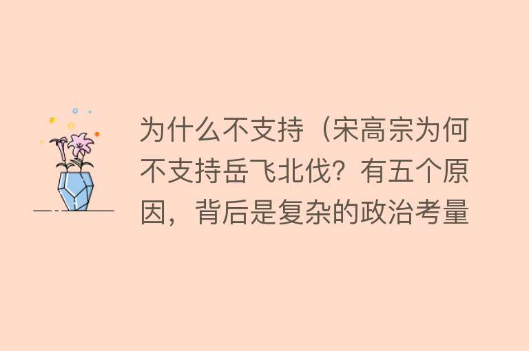 为什么不支持（宋高宗为何不支持岳飞北伐？有五个原因，背后是复杂的政治考量）