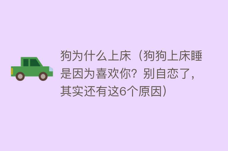 狗为什么上床（狗狗上床睡是因为喜欢你？别自恋了，其实还有这6个原因）