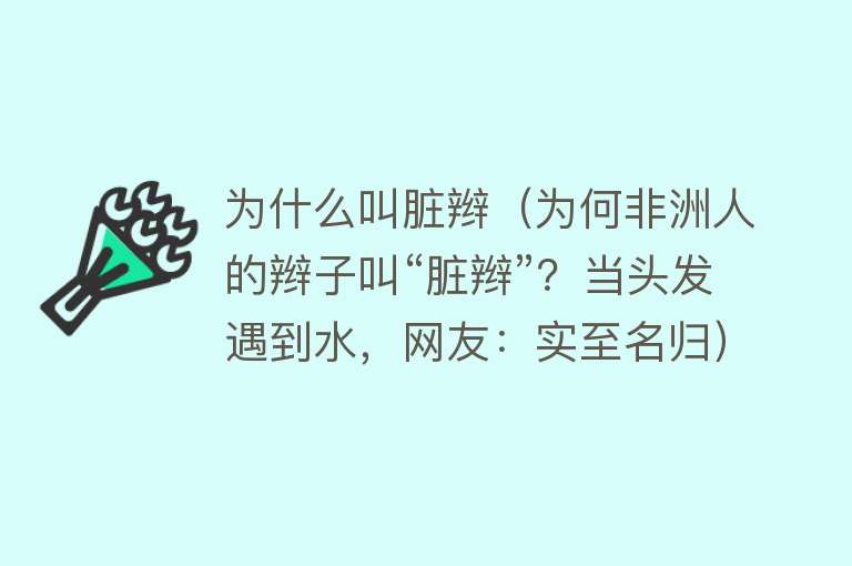 为什么叫脏辫（为何非洲人的辫子叫“脏辫”？当头发遇到水，网友：实至名归）