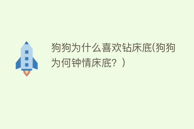 狗狗为什么喜欢钻床底(狗狗为何钟情床底？)