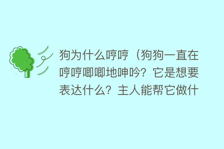 狗为什么哼哼（狗狗一直在哼哼唧唧地呻吟？它是想要表达什么？主人能帮它做什么）