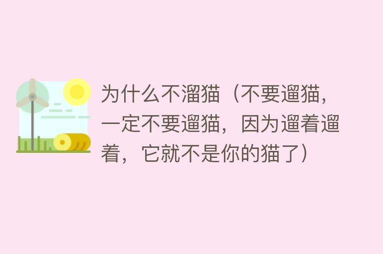 为什么不溜猫（不要遛猫，一定不要遛猫，因为遛着遛着，它就不是你的猫了）