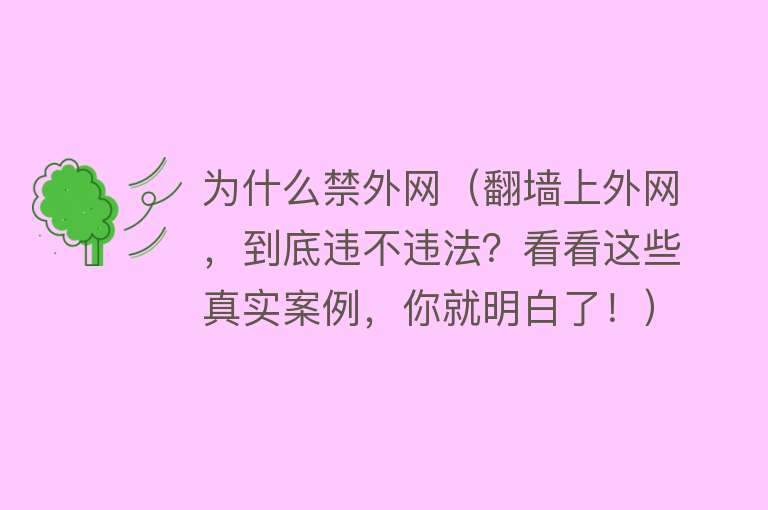 为什么禁外网（翻墙上外网，到底违不违法？看看这些真实案例，你就明白了！）