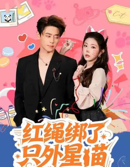 红绳绑了只外星喵(59集全)尹一博&李逸璇-搜外项目网