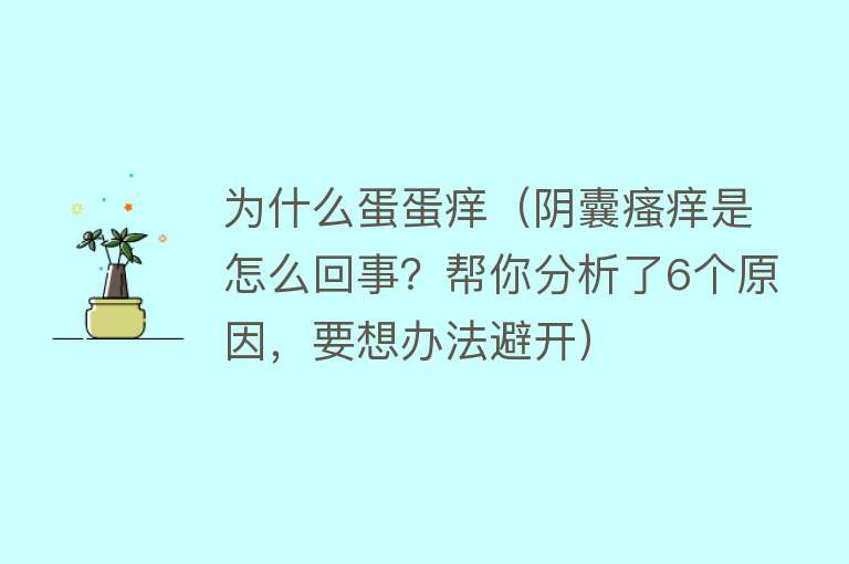 为什么蛋蛋痒（阴囊瘙痒是怎么回事？帮你分析了6个原因，要想办法避开）