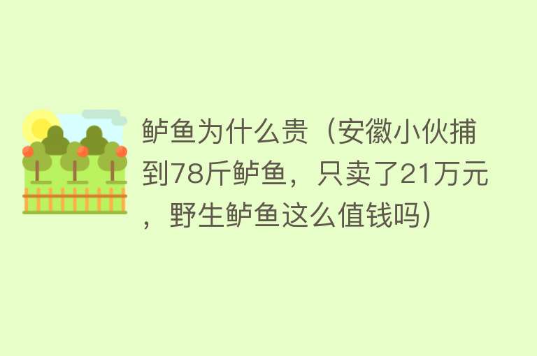 鲈鱼为什么贵（安徽小伙捕到78斤鲈鱼，只卖了21万元，野生鲈鱼这么值钱吗）