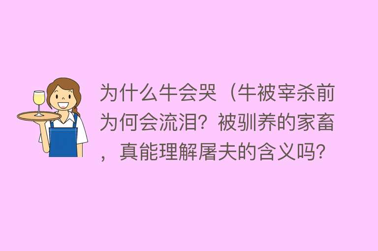 为什么牛会哭（牛被宰杀前为何会流泪？被驯养的家畜，真能理解屠夫的含义吗？）