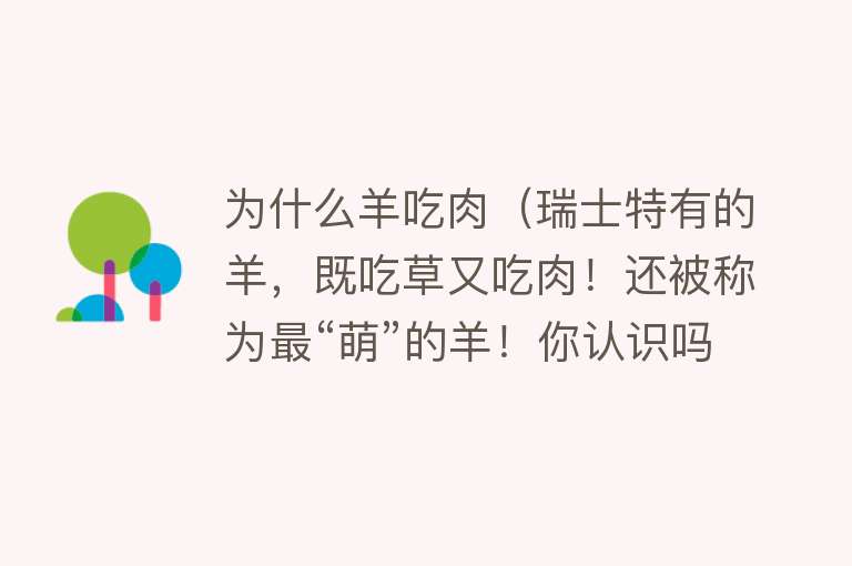 为什么羊吃肉（瑞士特有的羊，既吃草又吃肉！还被称为最“萌”的羊！你认识吗？）