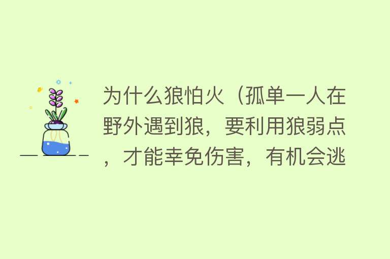 为什么狼怕火（孤单一人在野外遇到狼，要利用狼弱点，才能幸免伤害，有机会逃脱）