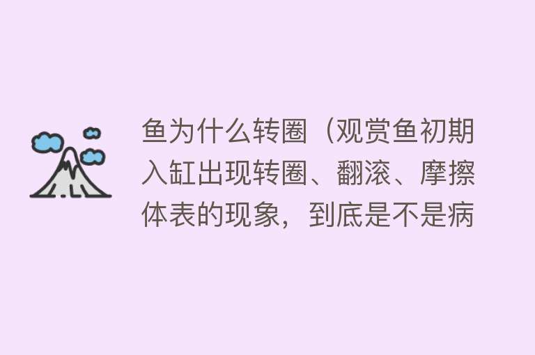 鱼为什么转圈（观赏鱼初期入缸出现转圈、翻滚、摩擦体表的现象，到底是不是病？）