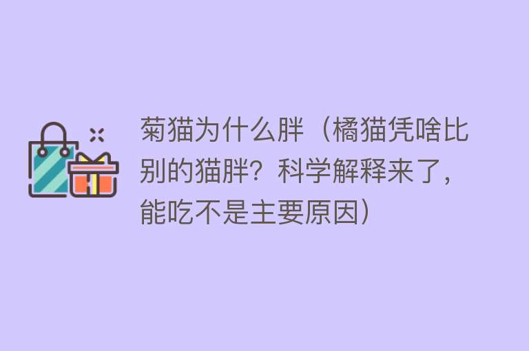 菊猫为什么胖（橘猫凭啥比别的猫胖？科学解释来了，能吃不是主要原因）