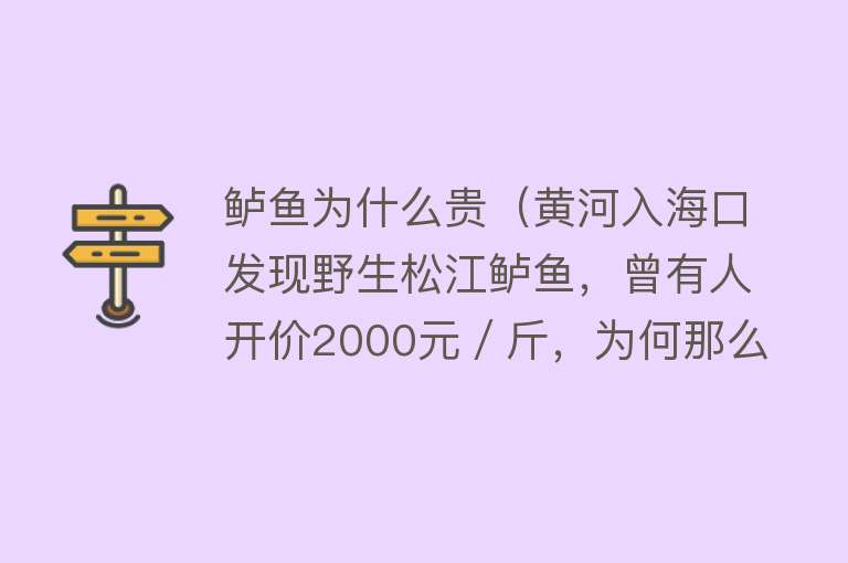 鲈鱼为什么贵（黄河入海口发现野生松江鲈鱼，曾有人开价2000元／斤，为何那么贵）