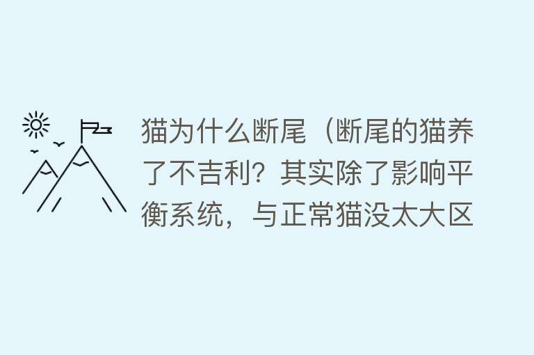 猫为什么断尾（断尾的猫养了不吉利？其实除了影响平衡系统，与正常猫没太大区别）