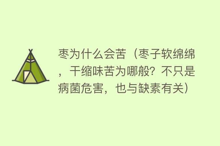 枣为什么会苦（枣子软绵绵，干缩味苦为哪般？不只是病菌危害，也与缺素有关）