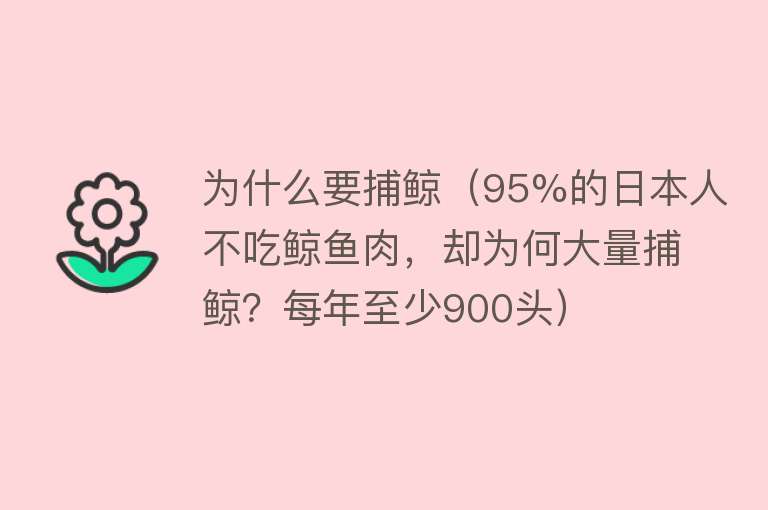 为什么要捕鲸（95%的日本人不吃鲸鱼肉，却为何大量捕鲸？每年至少900头）