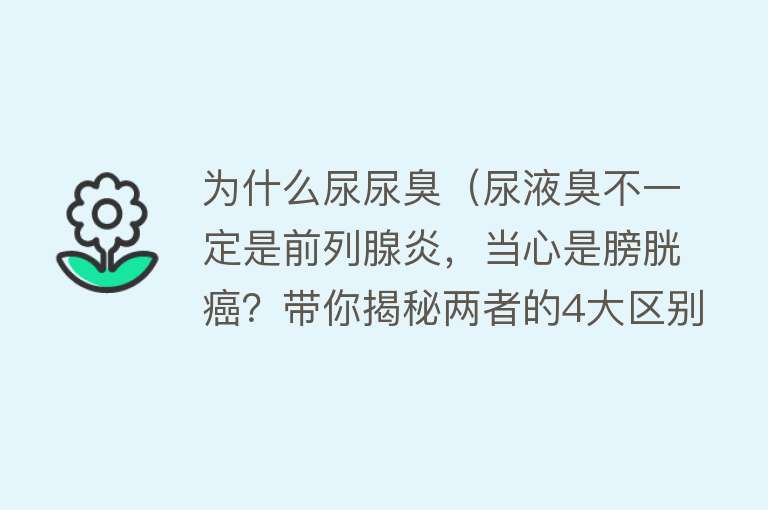 为什么尿尿臭（尿液臭不一定是前列腺炎，当心是膀胱癌？带你揭秘两者的4大区别）