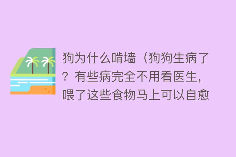 狗为什么啃墙（狗狗生病了？有些病完全不用看医生，喂了这些食物马上可以自愈）