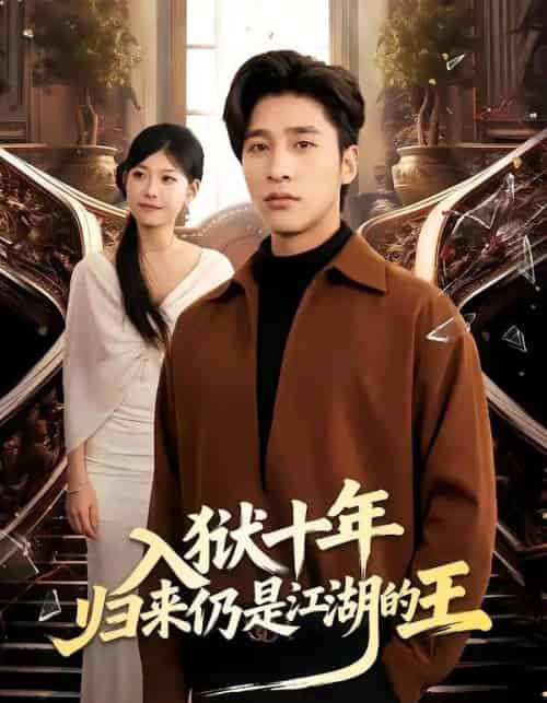 入狱十年,归来仍是江湖的王(50集全)崔旭阳&李经瑞-搜外项目网