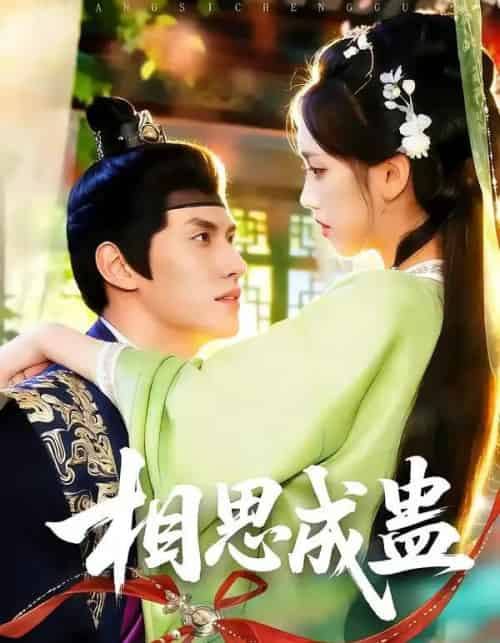 相思成蛊(70集全)陈品延&何子雯-搜外项目网
