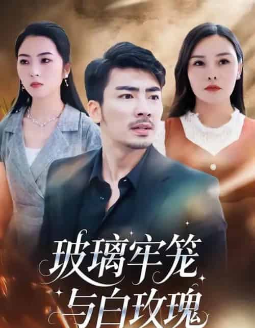 玻璃牢笼与白玫瑰(75集全)张瀚文(男)&郑曦月-搜外项目网