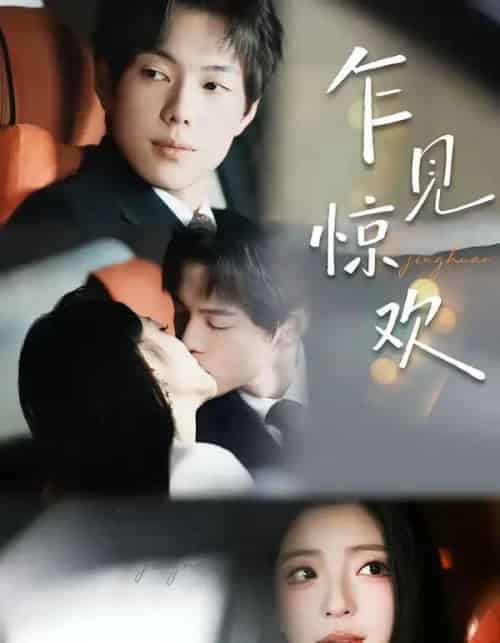 乍见惊欢(60集全)卢美汕&赵智衡-搜外项目网