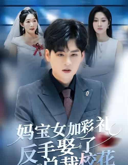 妈宝女加彩礼反手娶了总裁校花(81集全)韩非儿&毛家和-搜外项目网