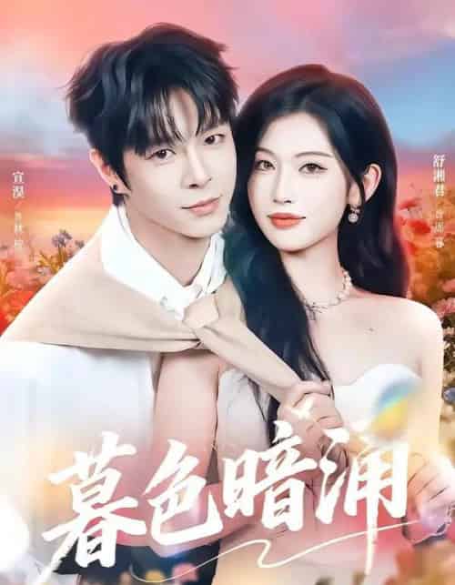 暮色暗涌(50集全)宣淏&舒湘君-搜外项目网