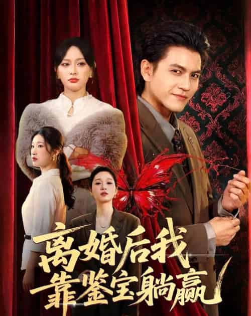 离婚后我靠鉴宝躺赢(57集全)李京熹&吴轶斐-搜外项目网