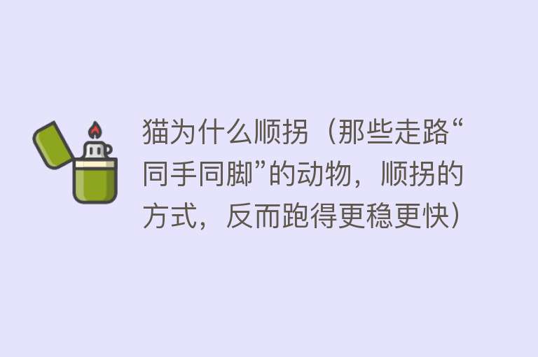 猫为什么顺拐（那些走路“同手同脚”的动物，顺拐的方式，反而跑得更稳更快）