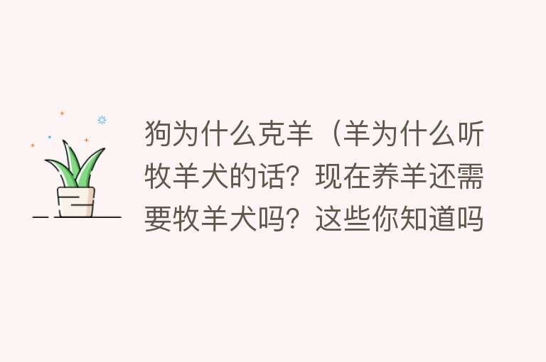 狗为什么克羊（羊为什么听牧羊犬的话？现在养羊还需要牧羊犬吗？这些你知道吗？）