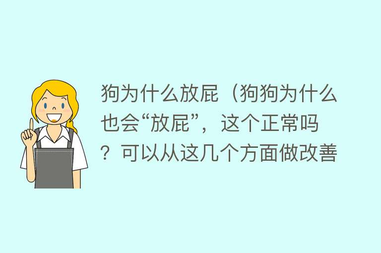 狗为什么放屁（狗狗为什么也会“放屁”，这个正常吗？可以从这几个方面做改善）