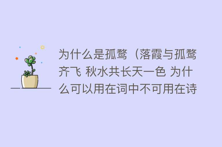 为什么是孤鹜（落霞与孤鹜齐飞 秋水共长天一色 为什么可以用在词中不可用在诗中）