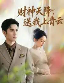 财神天降,送我上青云(100集全)AI-搜外项目网