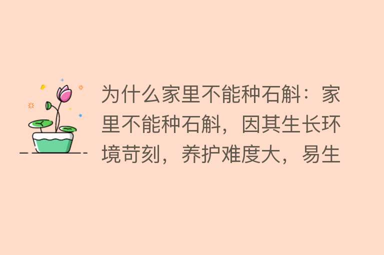 为什么家里不能种石斛：家里不能种石斛，因其生长环境苛刻，养护难度大，易生病虫害，对光照要求特殊。