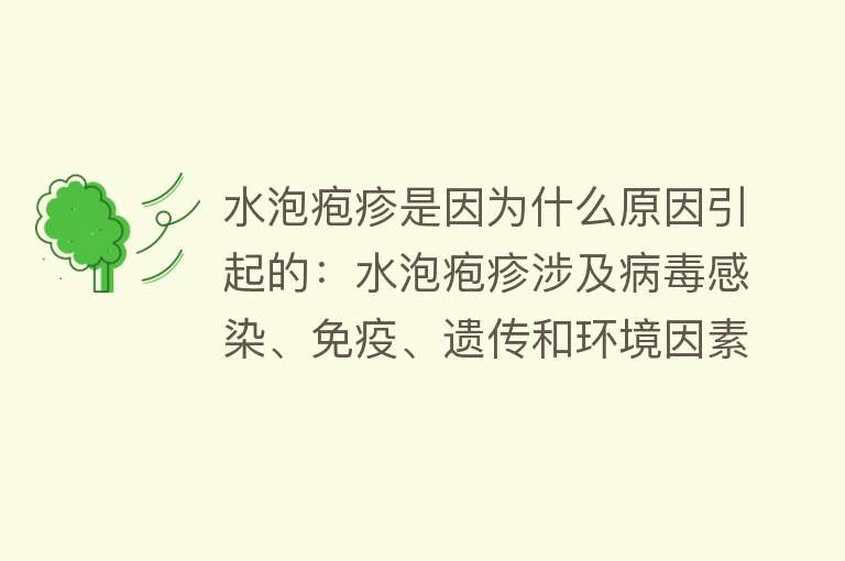 水泡疱疹是因为什么原因引起的：水泡疱疹涉及病毒感染、免疫、遗传和环境因素。