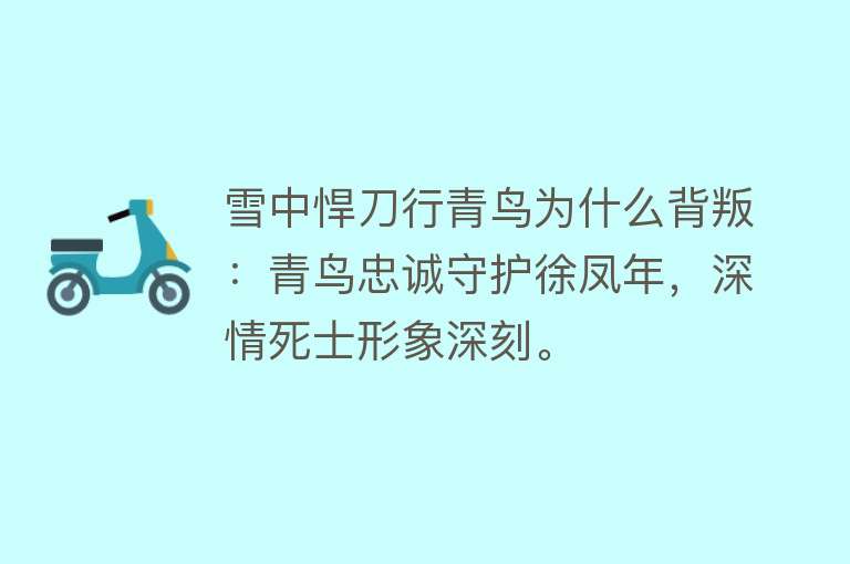 雪中悍刀行青鸟为什么背叛：青鸟忠诚守护徐凤年，深情死士形象深刻。