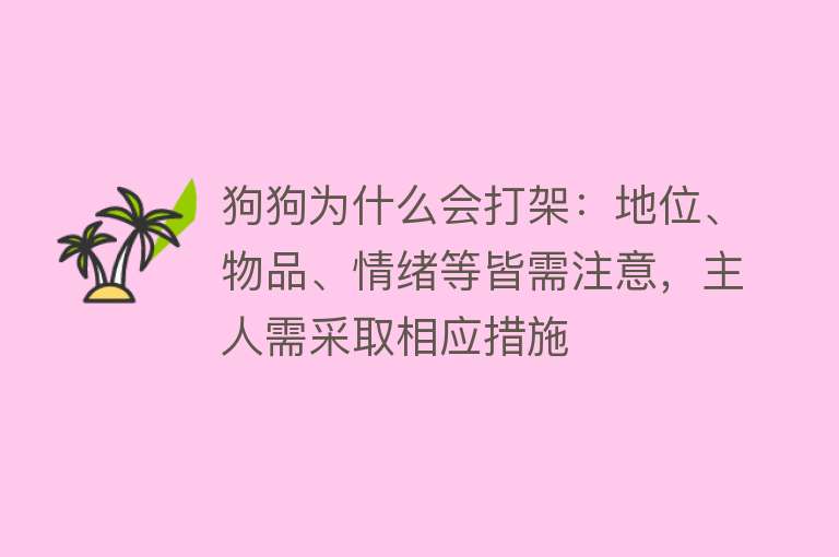 狗狗为什么会打架：地位、物品、情绪等皆需注意，主人需采取相应措施