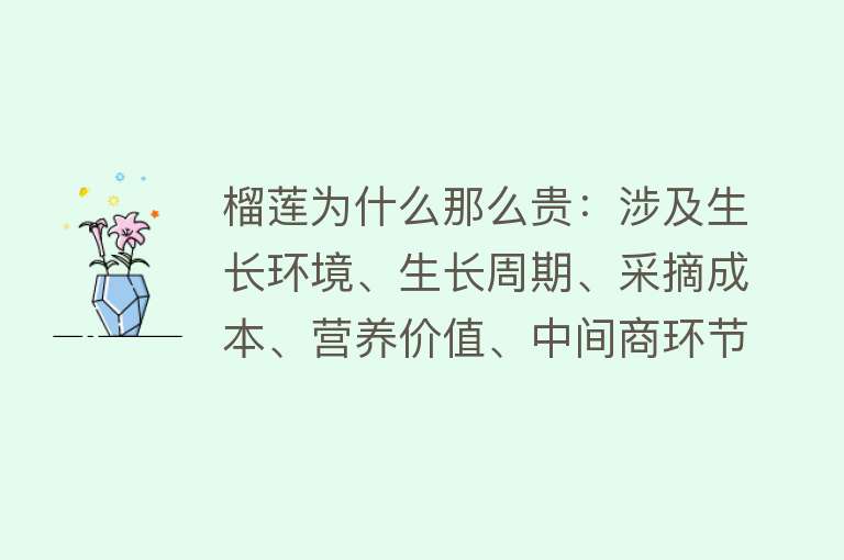 榴莲为什么那么贵：涉及生长环境、生长周期、采摘成本、营养价值、中间商环节、种植成本、市场供需关系、运输储存成本以及品质等多个方面