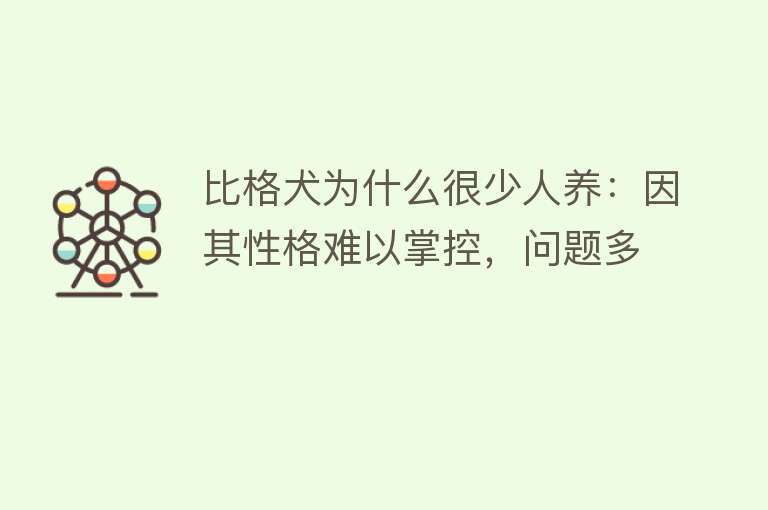 比格犬为什么很少人养：因其性格难以掌控，问题多