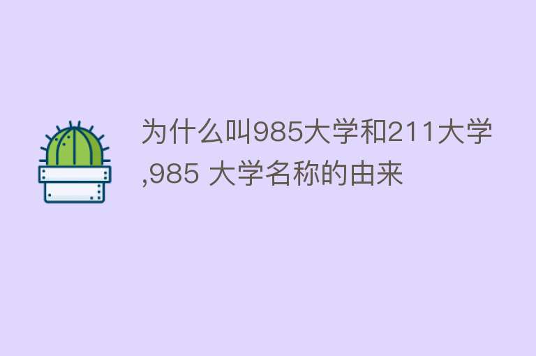 为什么叫985大学和211大学,985 大学名称的由来