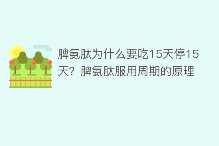 脾氨肽为什么要吃15天停15天？脾氨肽服用周期的原理